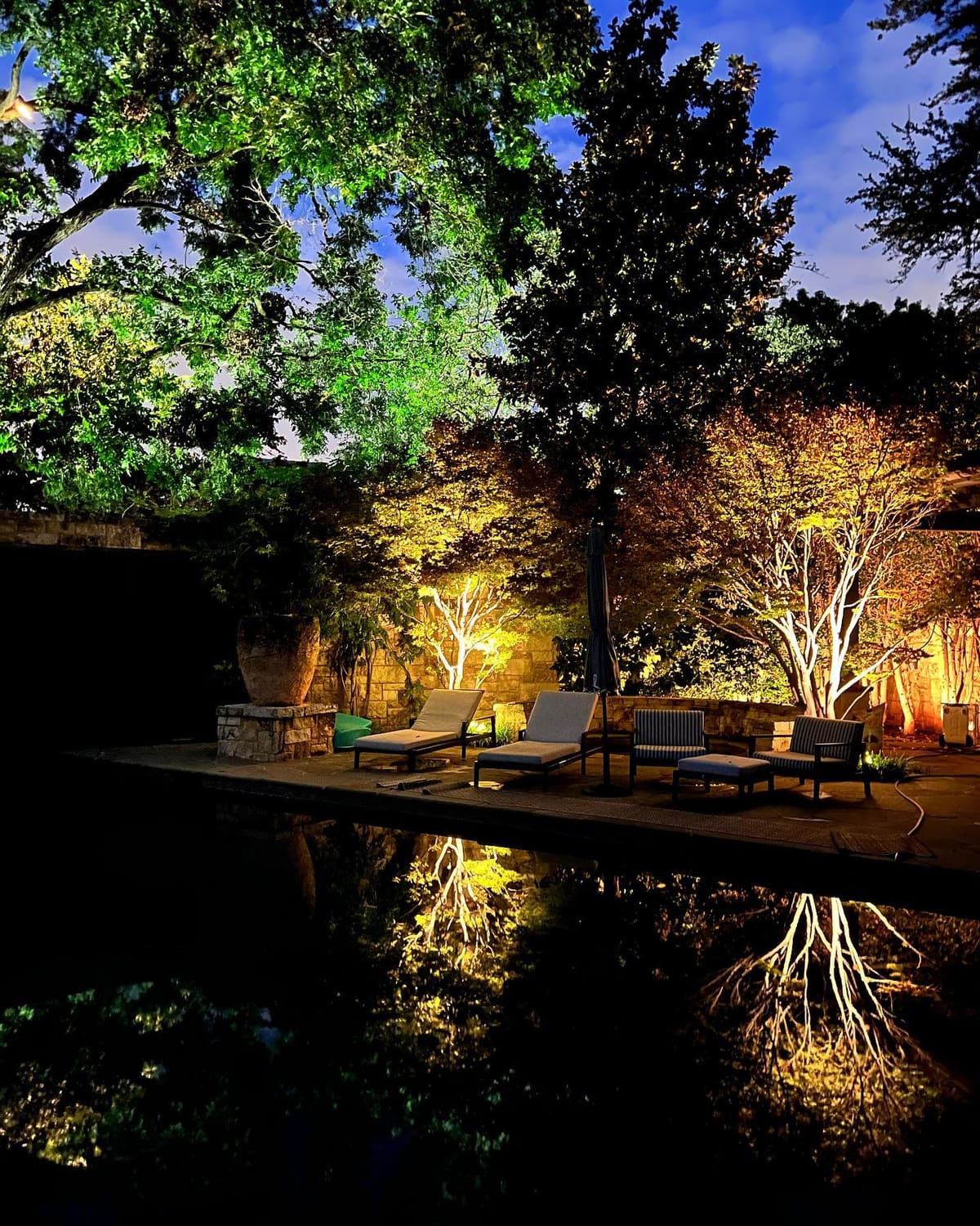 Landscape uplighting on trees beside a pool patio at night
