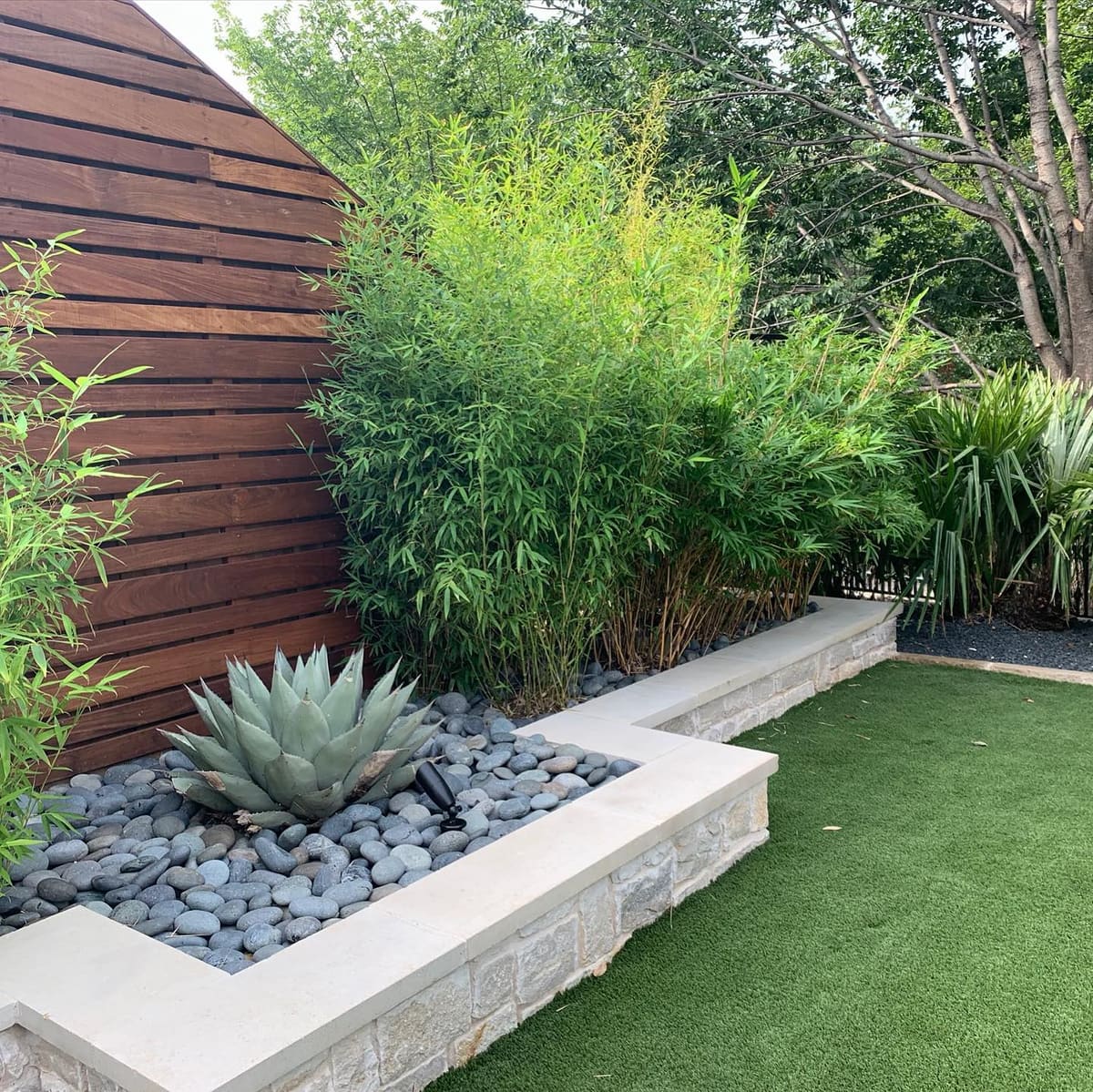 Modern backyard xeriscape turf