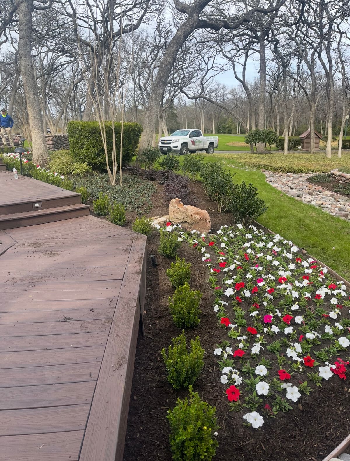 Flower bed walkway daisy border