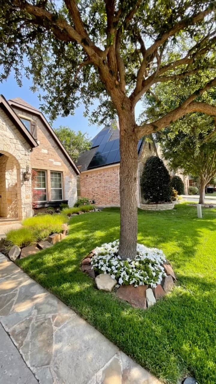 Tree ring flower bed