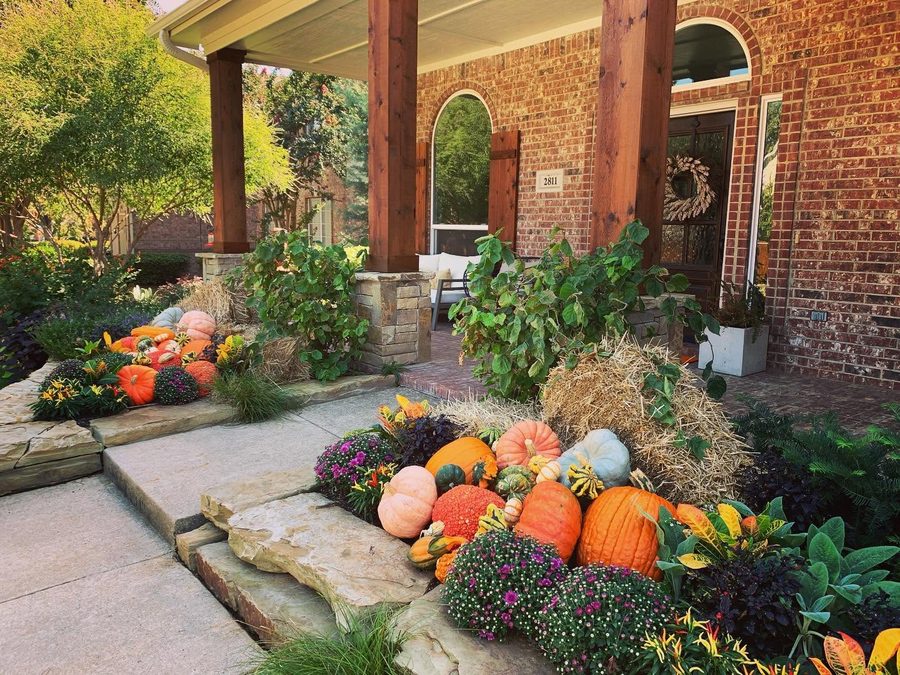 Fall seasonal color display with pumpkins and mums at a property entrance