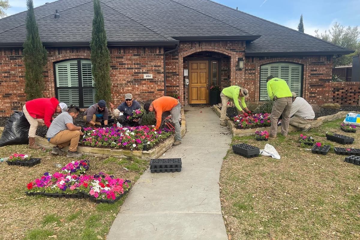 Landscape crew installing layered shrubs and perennials into a freshly prepared commercial bed