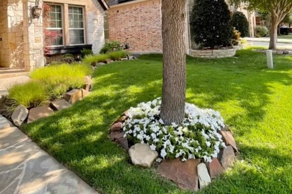 Crew planting a new container-grown tree in a commercial landscape bed
